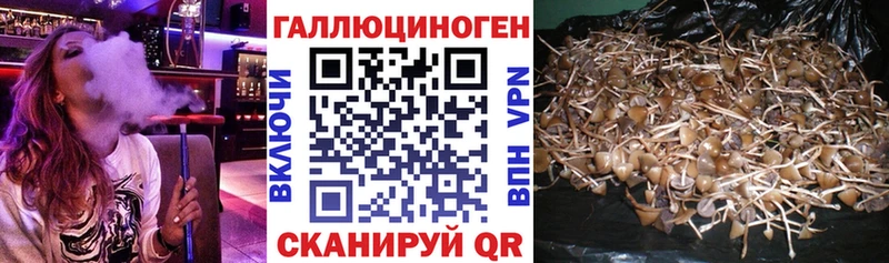 Псилоцибиновые грибы мухоморы Магнитогорск